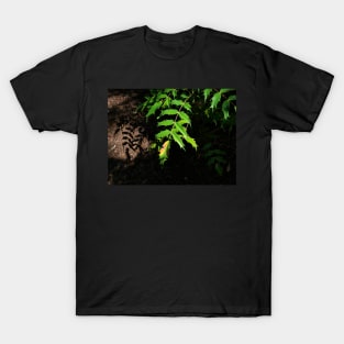 leaves changing colour in autumn T-Shirt